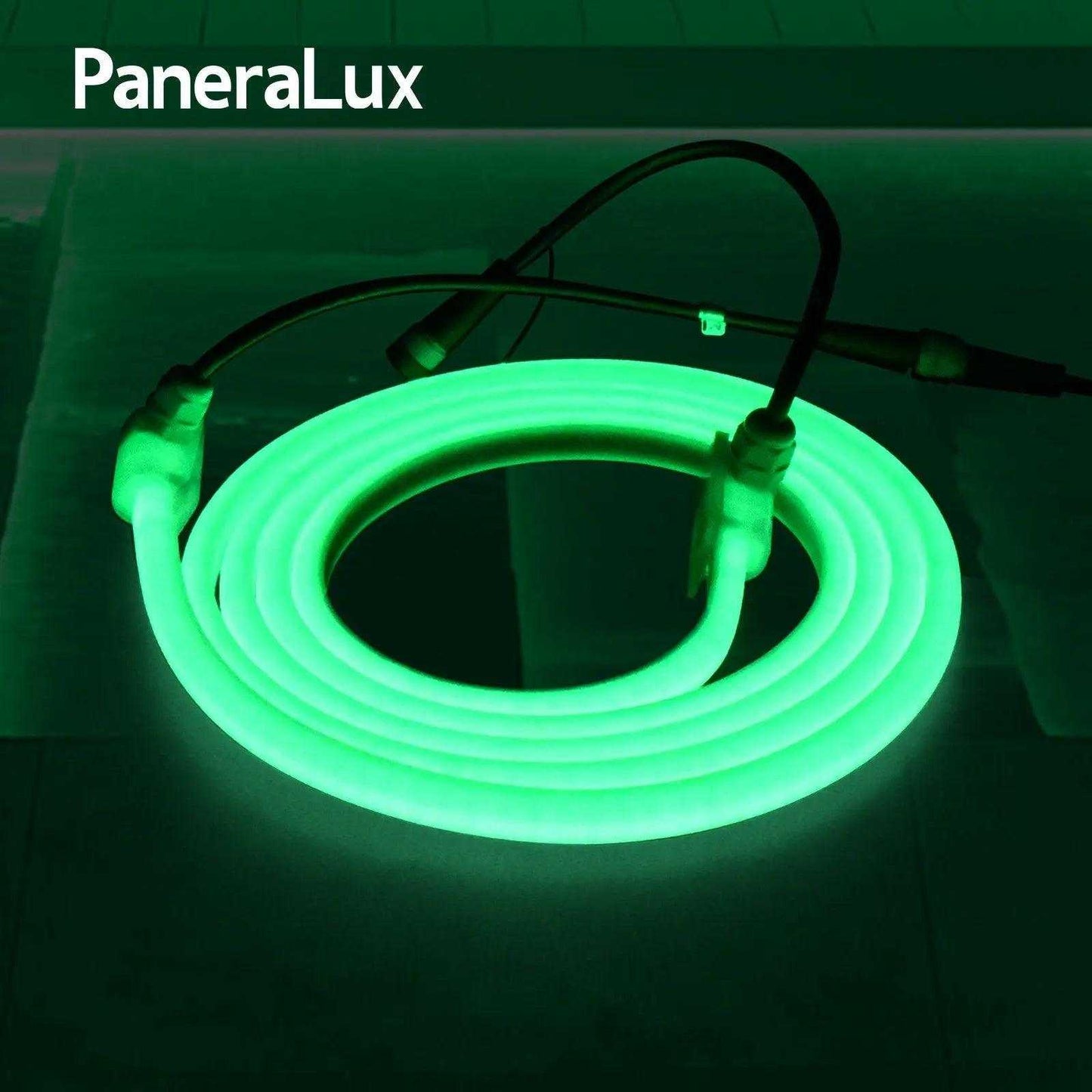 PaneraLux PaneraLux Colored Pool Lights Interconnect(副本) LED light